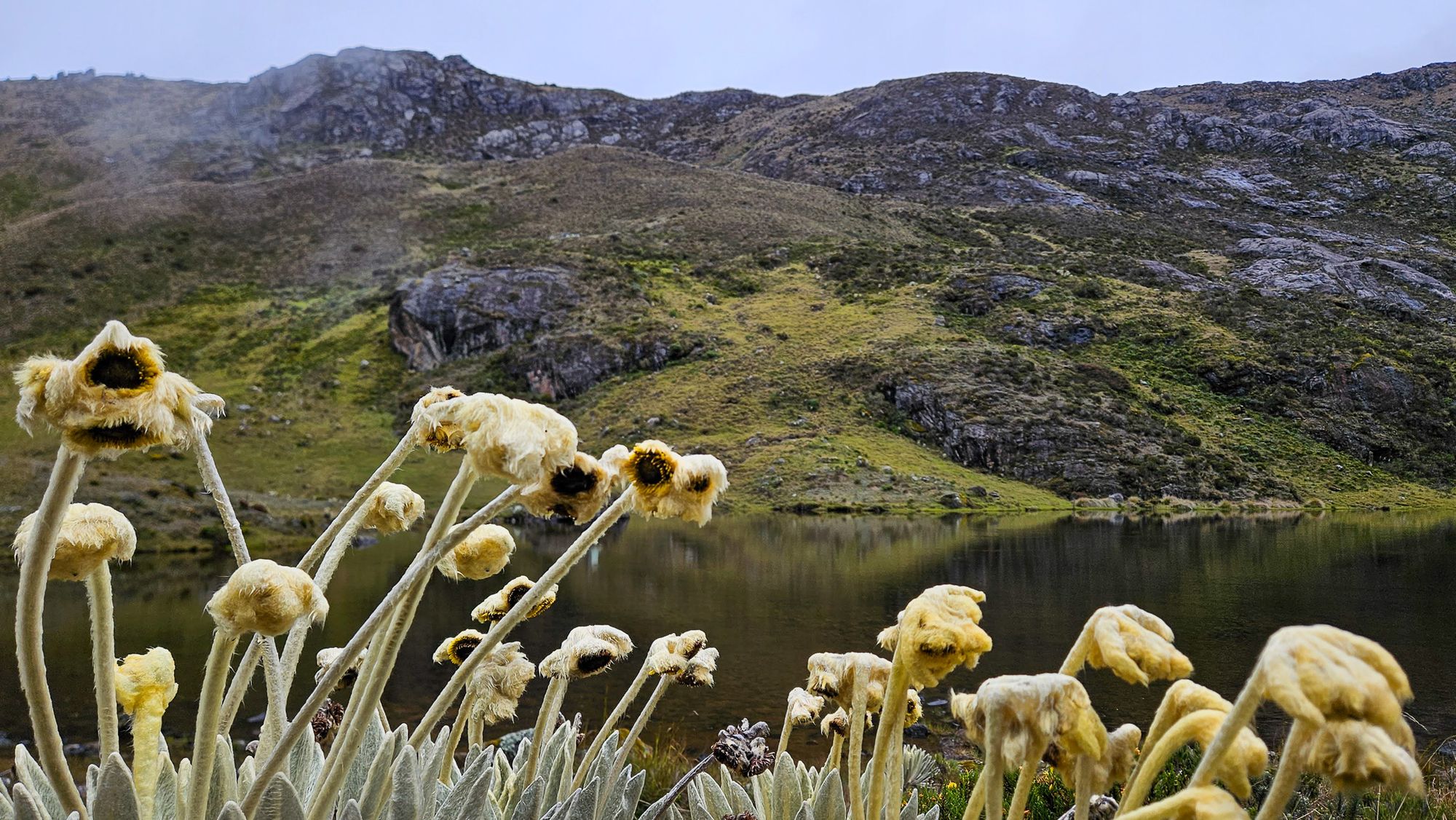 Hiking a Water Factory