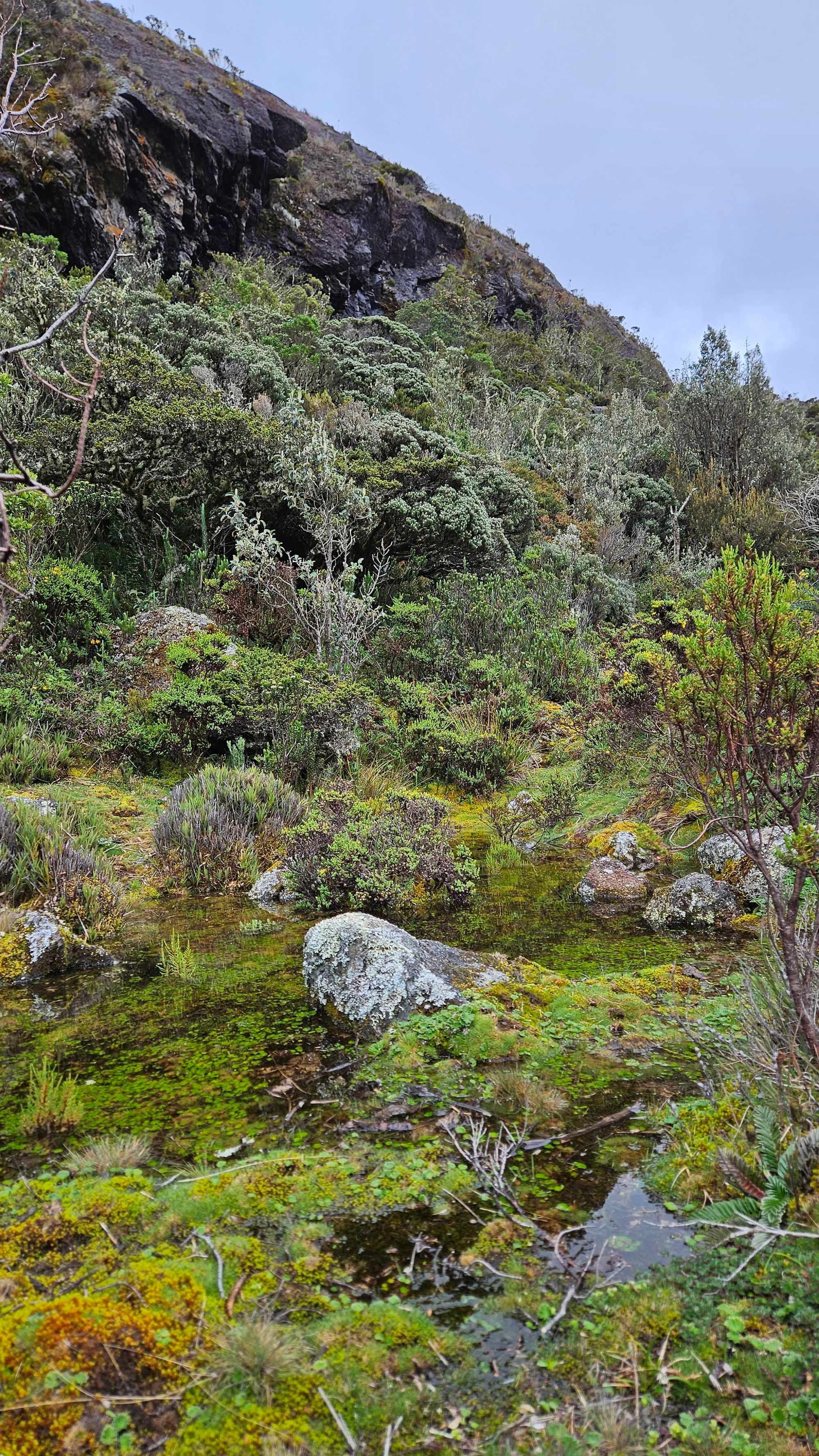 Hiking a Water Factory