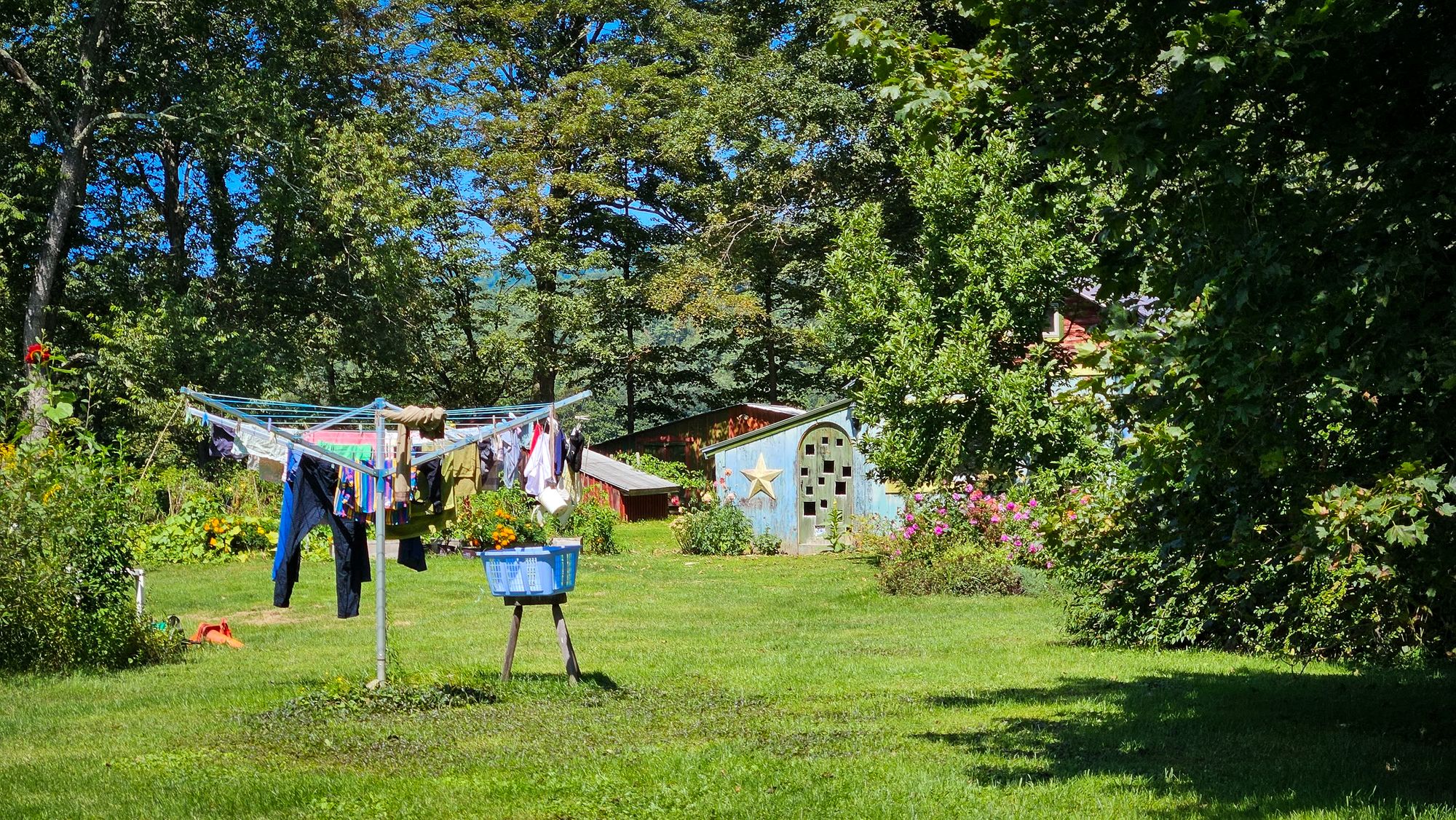 Finding Home at Magpie Farm