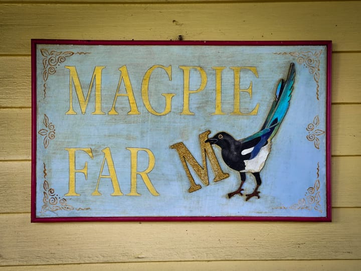 Finding Home at Magpie Farm